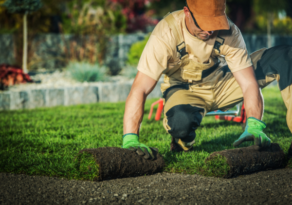 14. Grass Cutting, Weed Removal, Landscaping Services Program